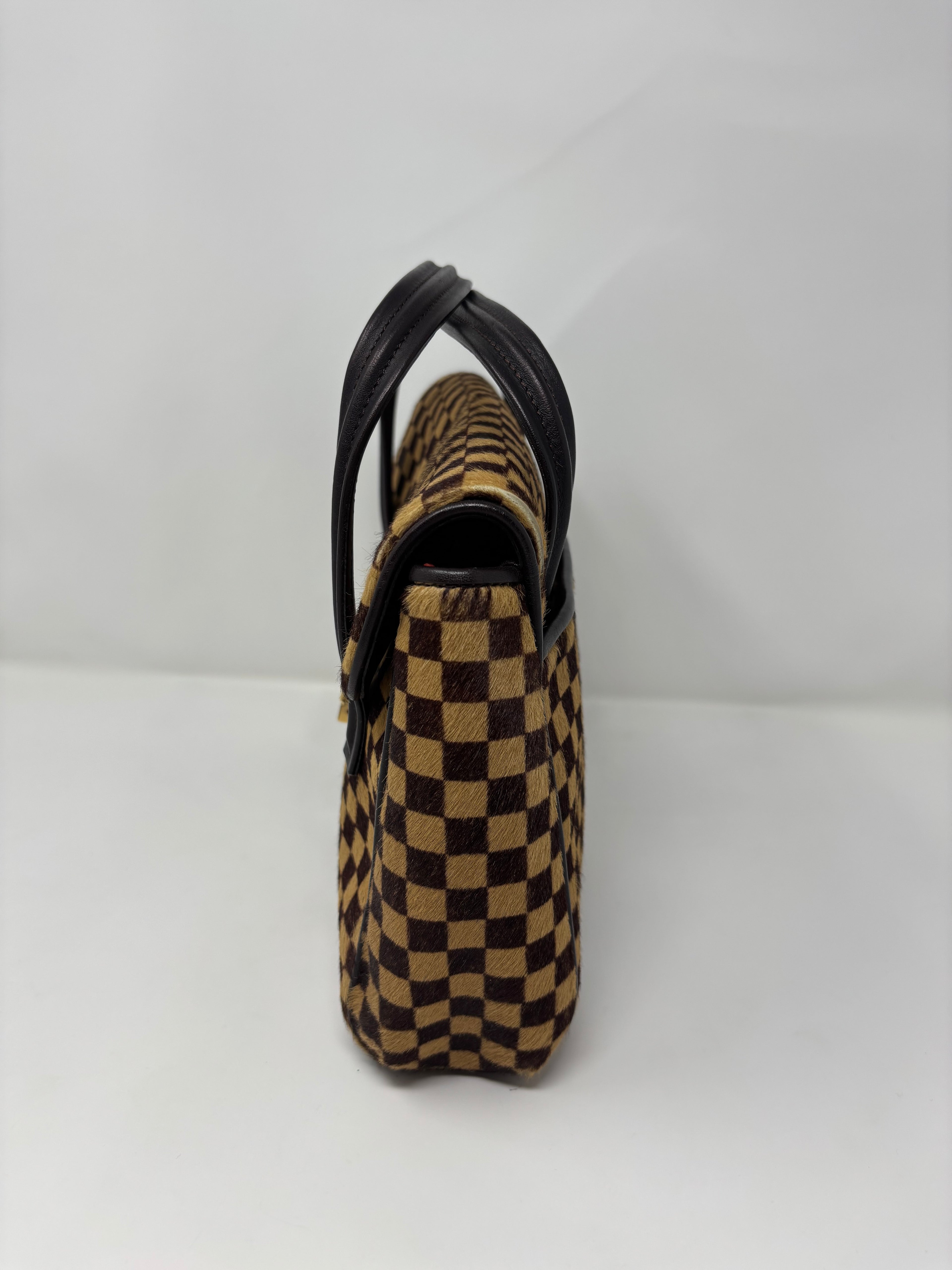 Louis Vuitton Damier Sauvage Ponyhair Handbag
