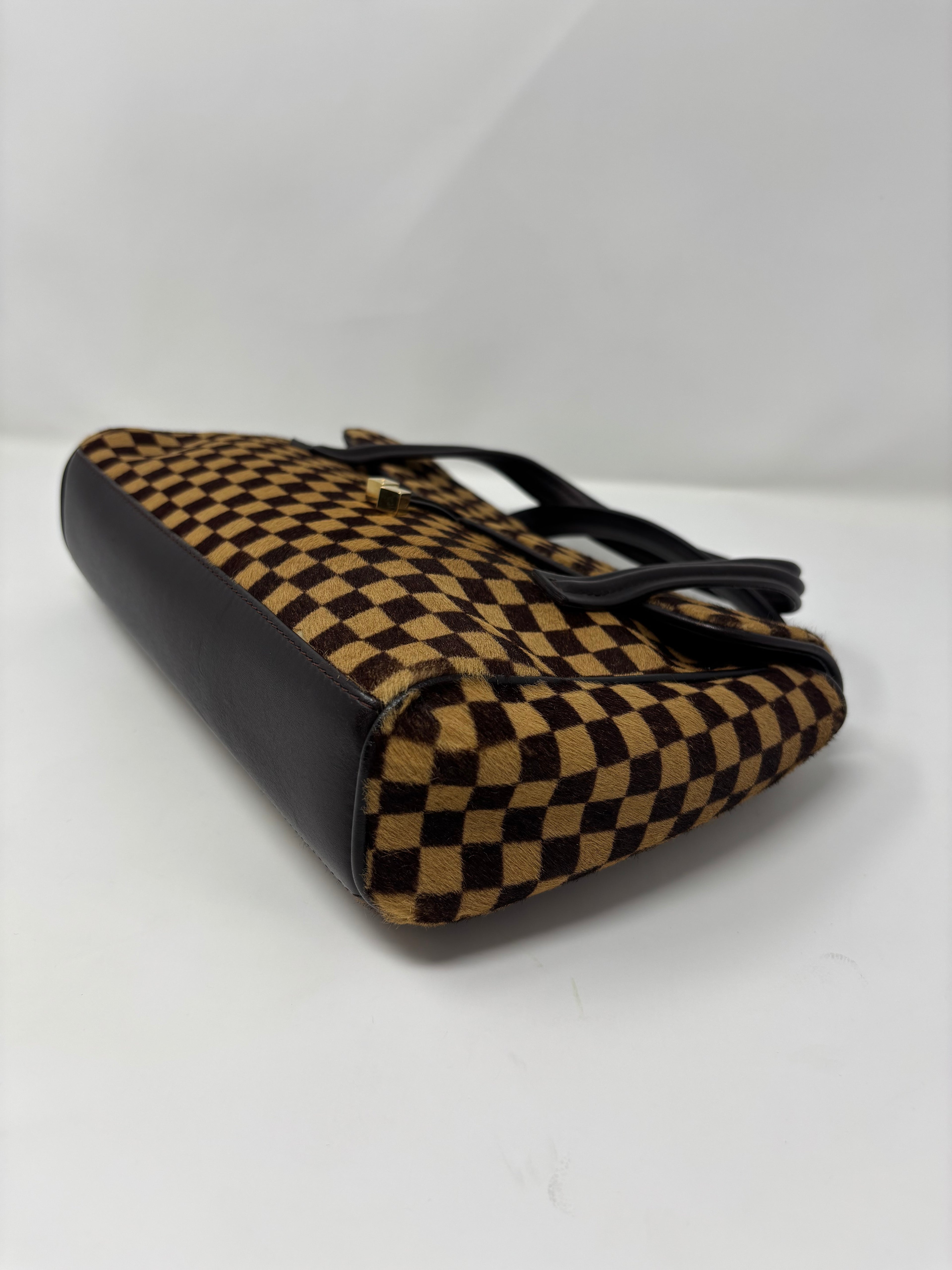 Louis Vuitton Damier Sauvage Ponyhair Handbag