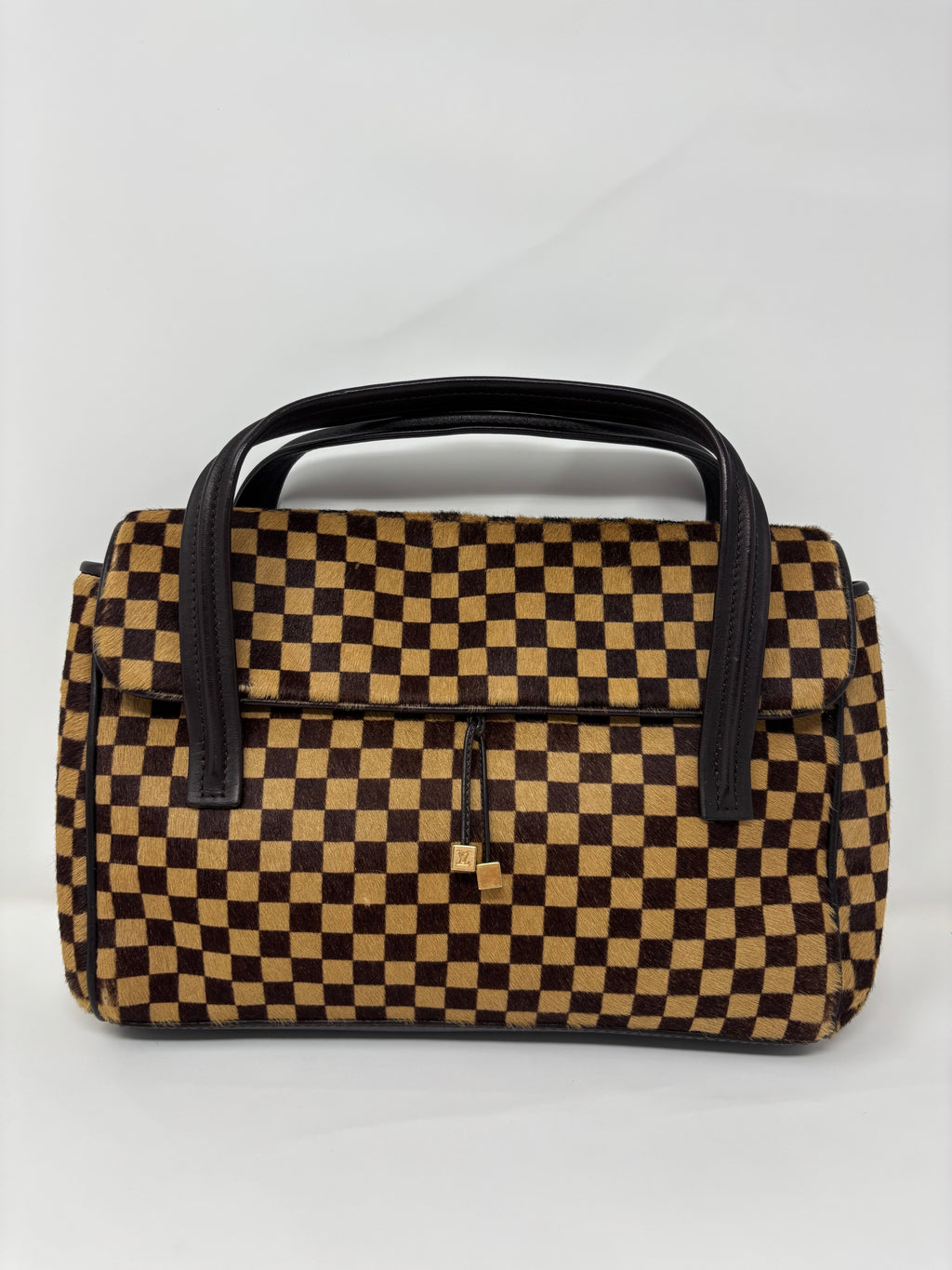 Louis Vuitton Damier Sauvage Ponyhair Handbag