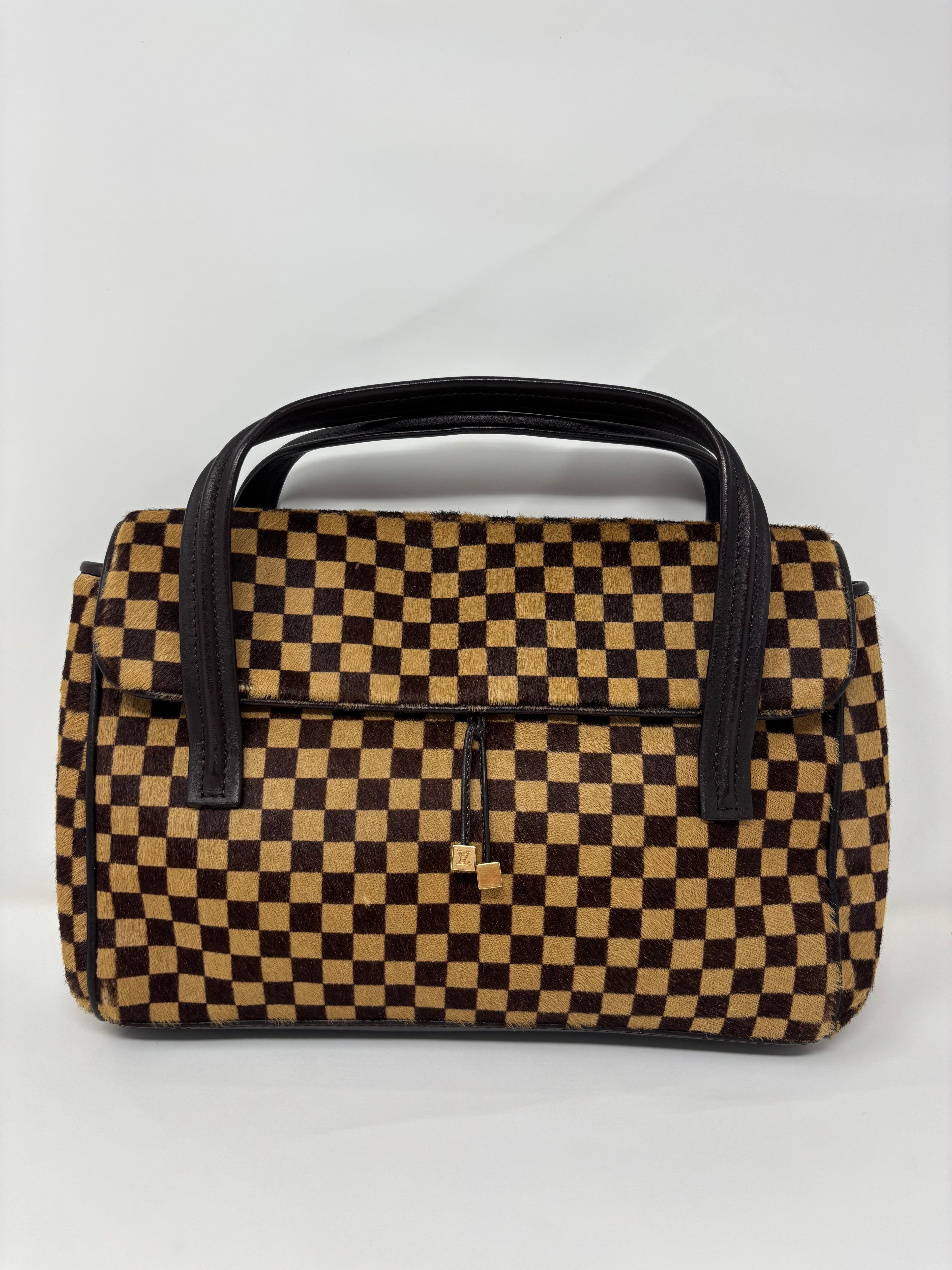 Louis Vuitton Damier Sauvage Ponyhair Handbag