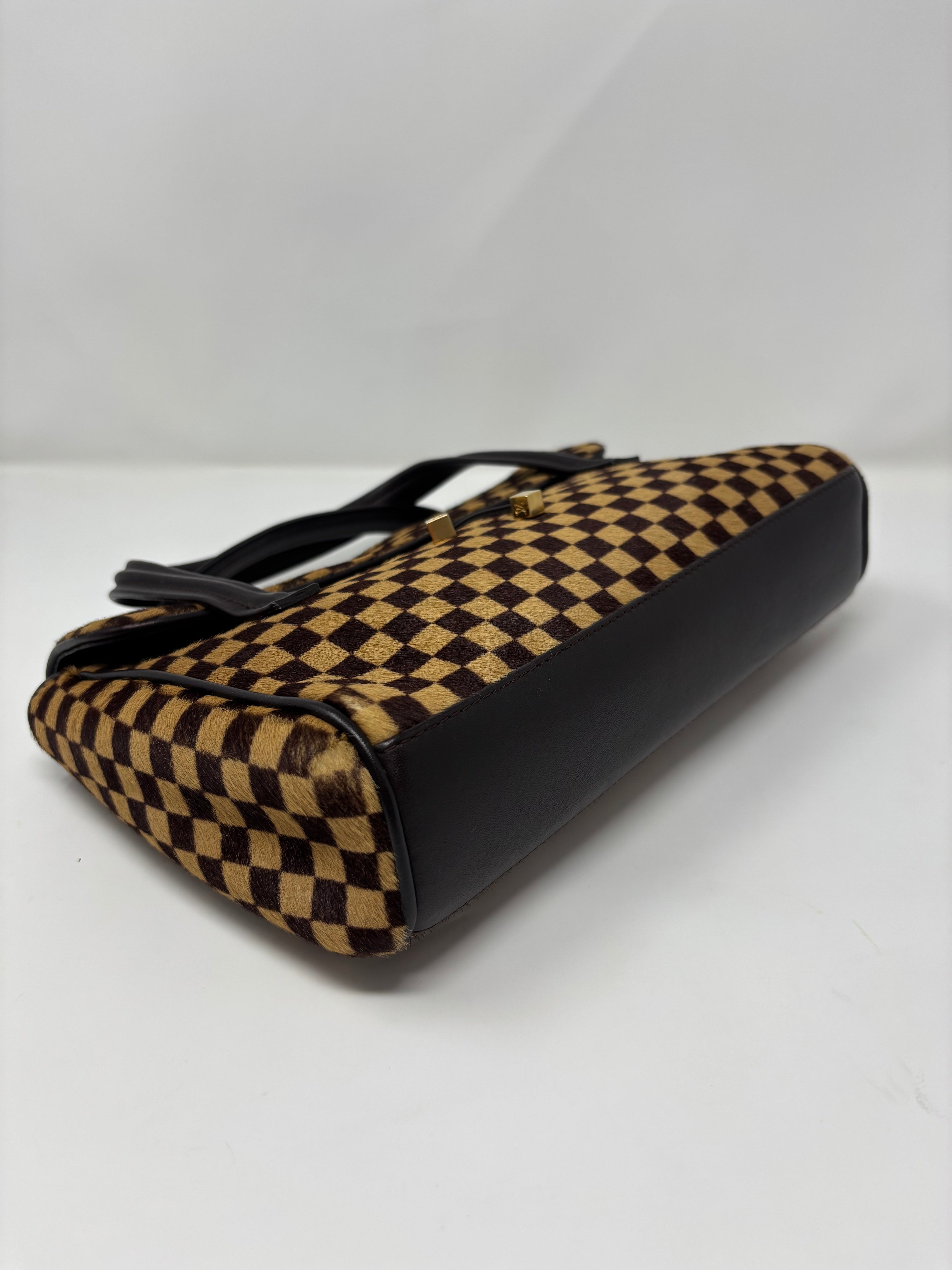 Louis Vuitton Damier Sauvage Ponyhair Handbag